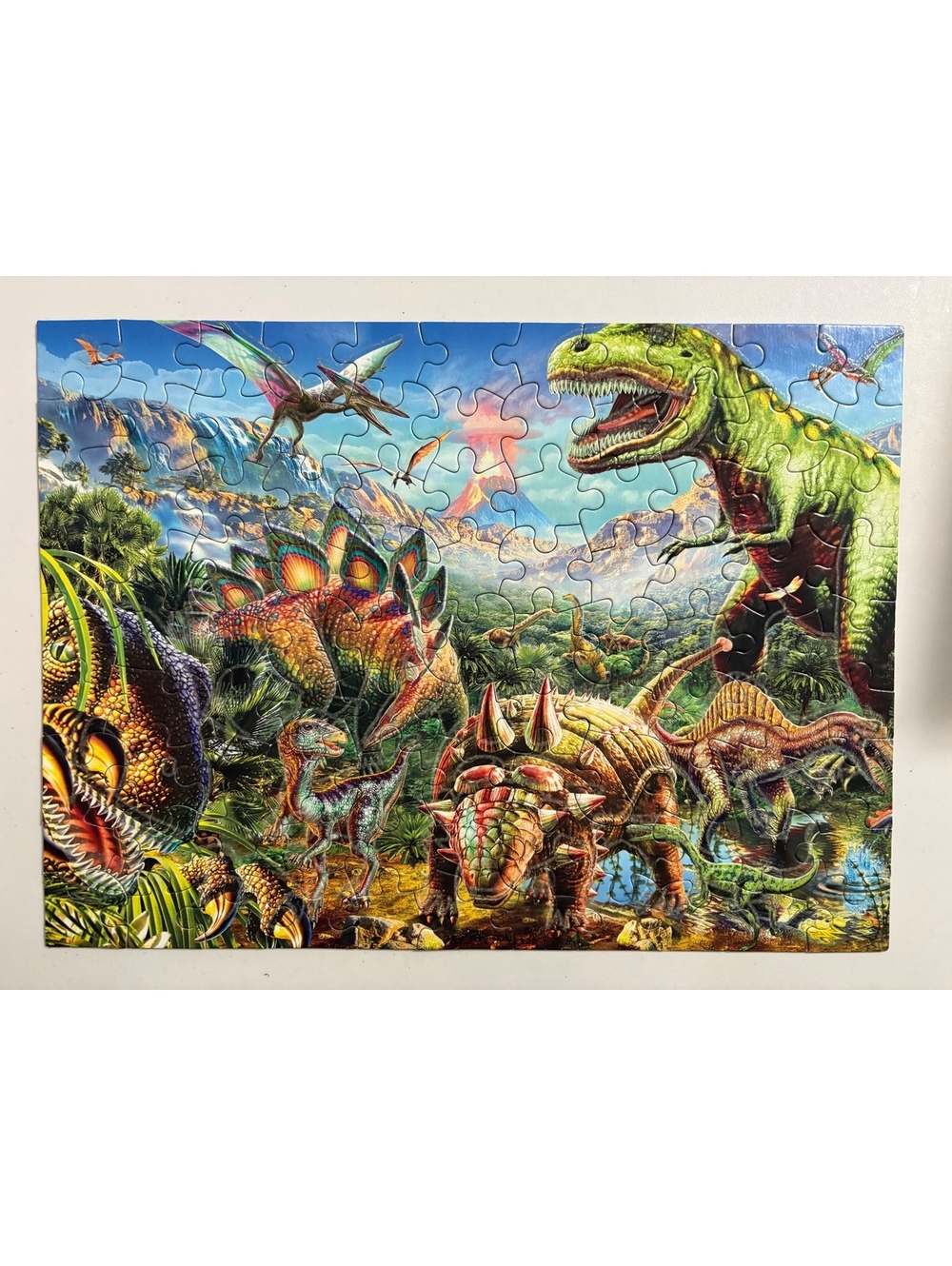 Children’s dinosaur puzzle